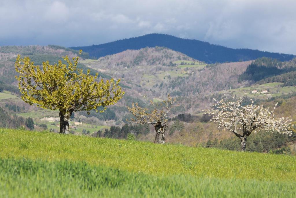 مبيت وإفطار Saint-Félicien La Bastide De Fontaille المظهر الخارجي الصورة