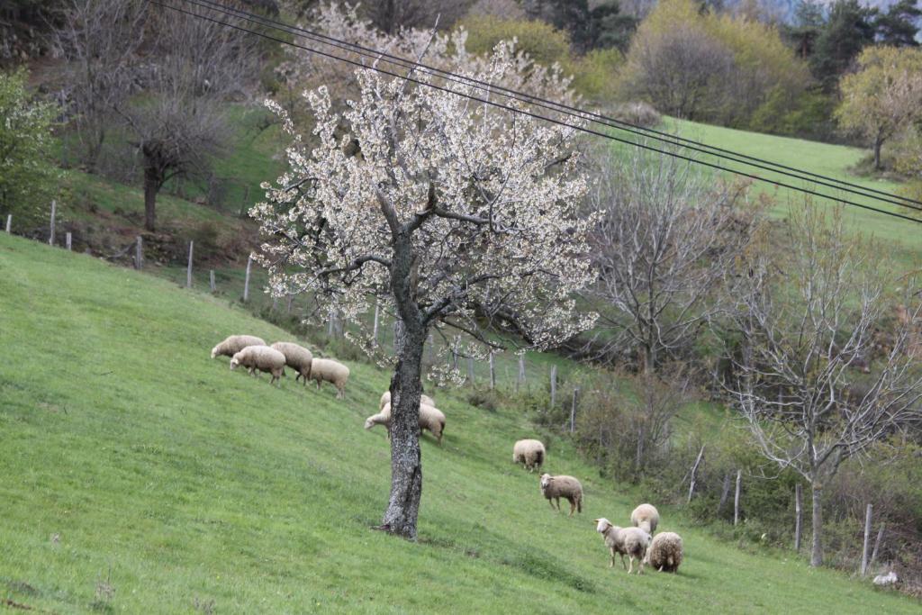 مبيت وإفطار Saint-Félicien La Bastide De Fontaille المظهر الخارجي الصورة