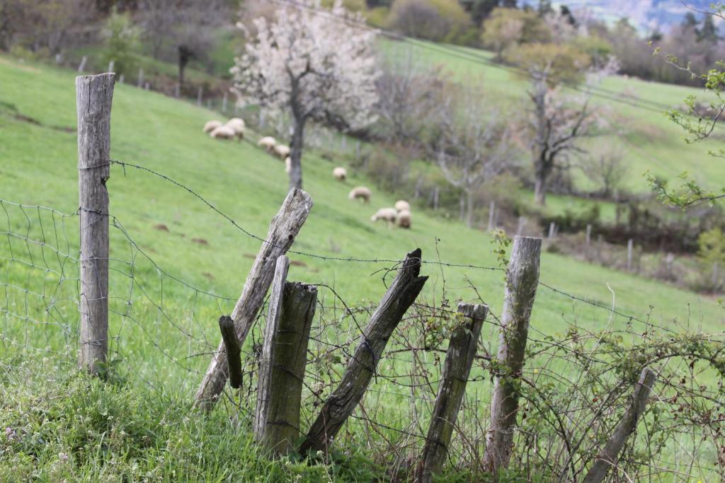 مبيت وإفطار Saint-Félicien La Bastide De Fontaille المظهر الخارجي الصورة